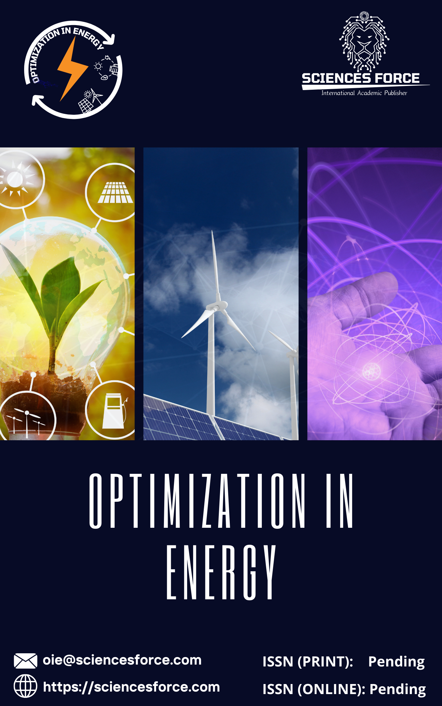 Optimization in Energy
