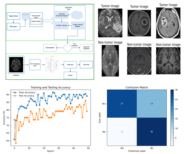 Graphical Abstract