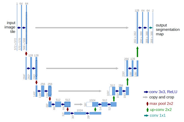 Graphical Abstract