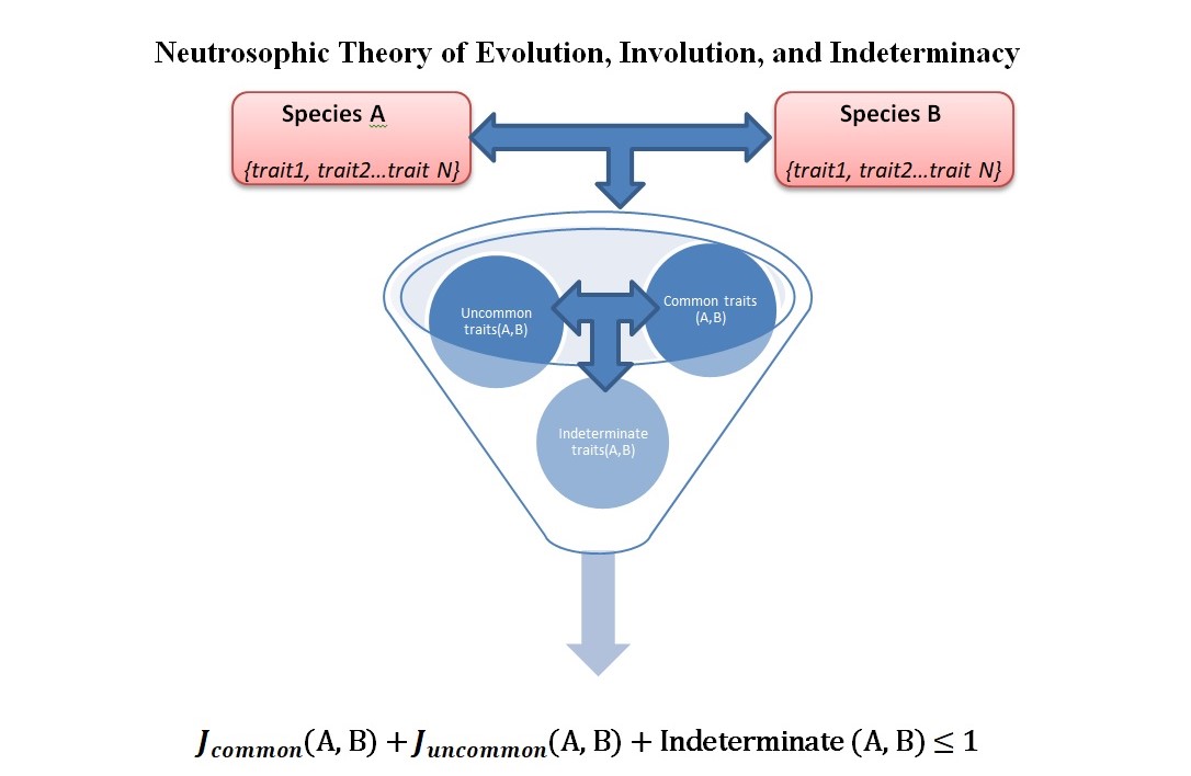 Graphical Abstract